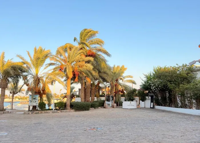 Apartamento kafr elgouna *